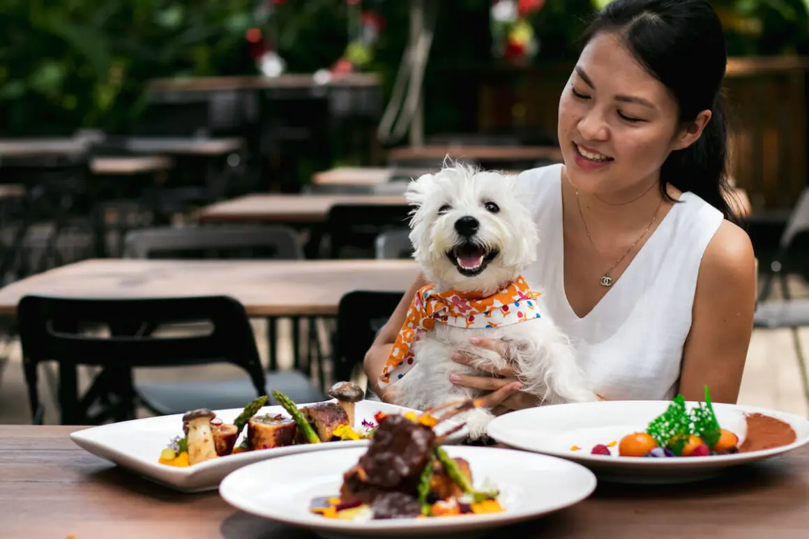 The Perfect Dining Experience